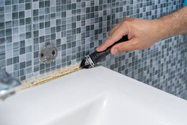 Best Toxic Mold Removal  in Kennett, MO